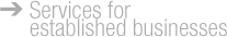 Services for established businesses